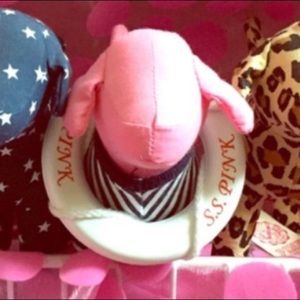 Sailor PINK dog ⛵️